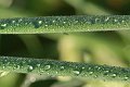 DSCF1483