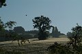 DSCF1496