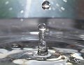 2007Water